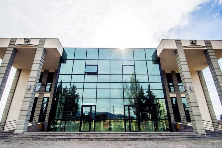 Grigol Robakidze University