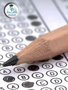 Untitled design (18)