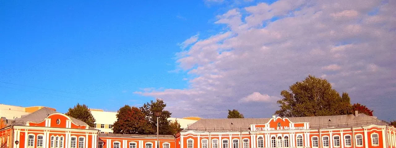 North-Western State Medical University